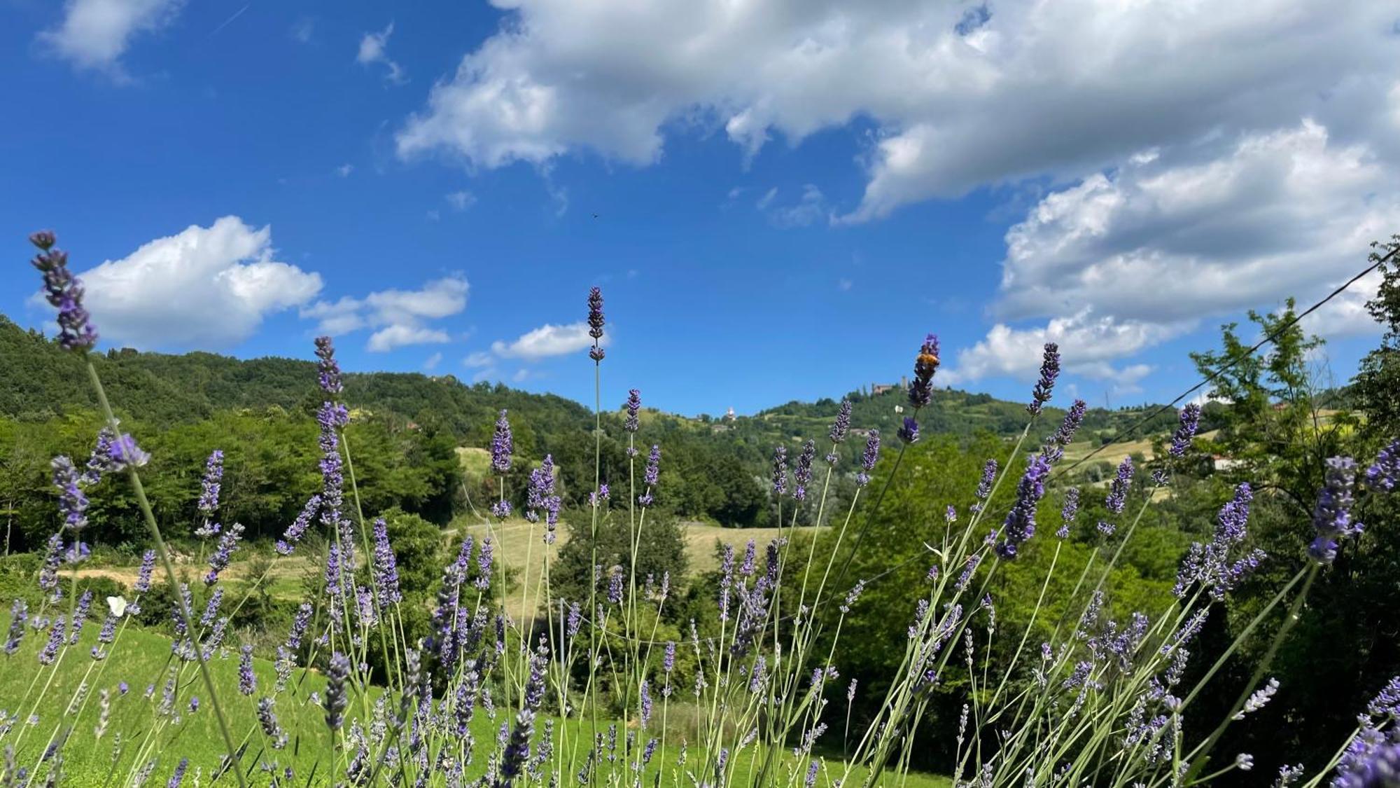 Tenuta San Lorenzo Melazzo Buitenkant foto